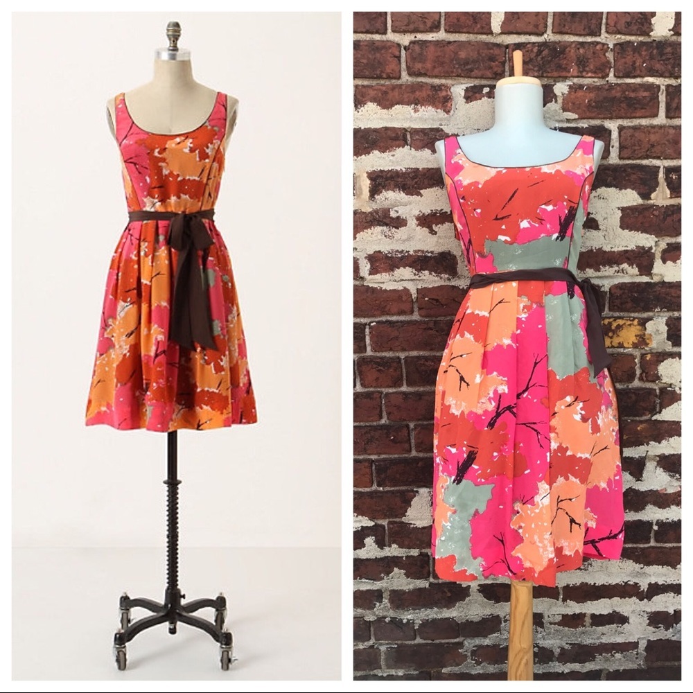 Anthropologie 4 100% Silk Changing Canopy Dress